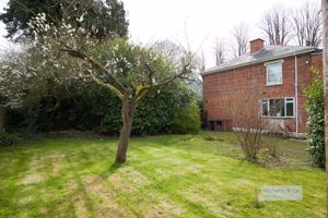 Side garden- click for photo gallery